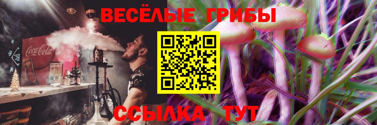 Псилоцибиновые грибы прущие грибы  Вход с VPN  Галлюциногенные грибы мицелий  Усть-Джегута 
