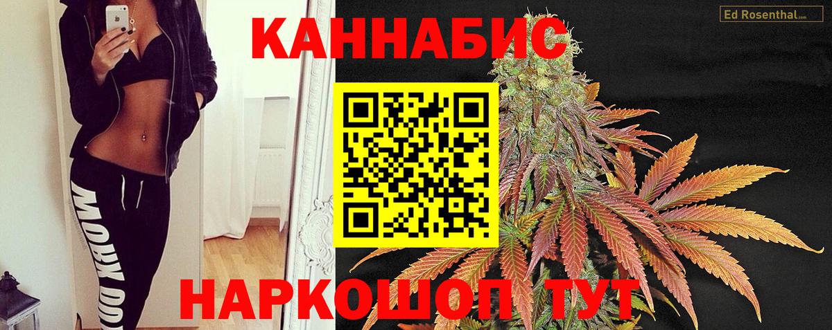 Бошки Шишки White Widow  Марихуана тримм  Усть-Джегута  Вход с VPN  Шишки марихуана сатива  Канабис AK-47 
